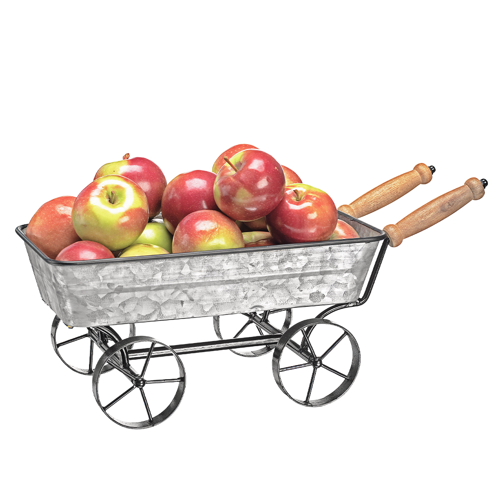 Double Glass Beverage Dispenser With Wheelbarrow Stand
